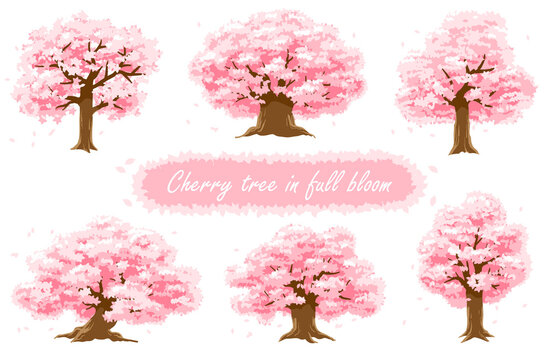 満開の桜の木のバージョン