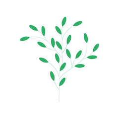 Green branch of a plant with leaves. The stem of the flower. For spa design or organic cosmetics, flower frame or pattern. Vector illustration. Flat style.