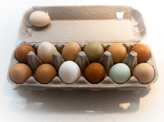 Thirteen different coloured eggs in a carton. 