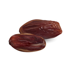 Two dry dates on a white background.