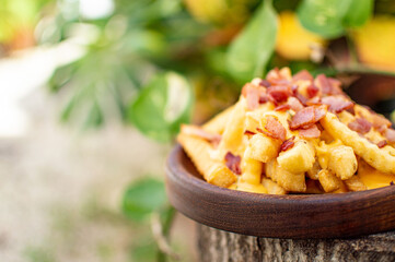 French wing potatoes with chorizo and extra cheese in nature