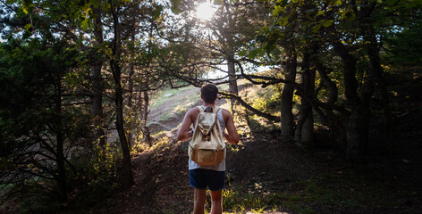 Man Traveler with backpack hiking outdoor in summer sunset forest