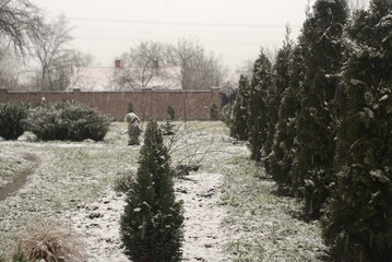 Fototapeta na wymiar snow is falling in the yard in the countryside