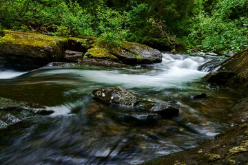 Obraz premium curvy soft flowing mountain creek with rocks