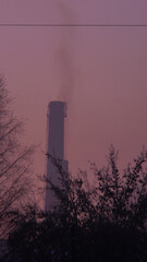 smoke from the chimney in the crimson sky 