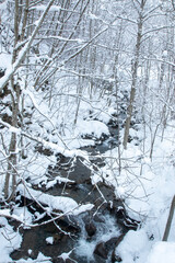 forest in the snow abundant snowfall climate change italy