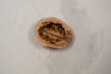 Chopped nuts on a neutral gray background, nutshells