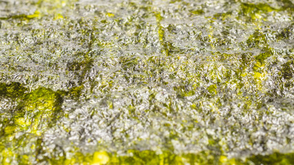 Nori seaweed as a background. Top view.