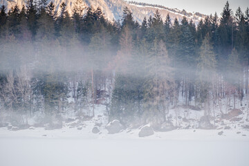 Bellissima vista della nebbia e degli alberi e del lago di tovel completamente ghiacciato