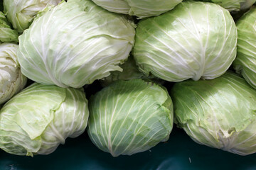 A heap of fresh green and white cabbage on the farmers market.