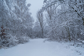 Eine wunderschöne eingeschneite Schneelandschaft im Spreewald