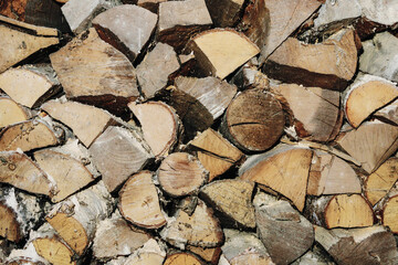 Tree cut cross section texture. Wood industry background. Chopped wood texture. Stacked tree logs pattern. Pile of raw tree wood in forest. Firewood background.