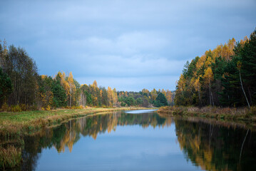 fall landscape with nice plants