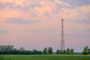 cellular tower on the field during sunset on a summer day