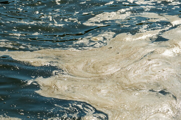 technogenic foam on the surface of the reservoir from sewage discharges into the river