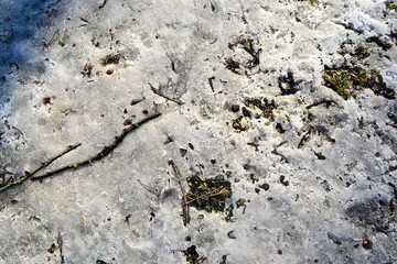 Texture of melting snow on a grass