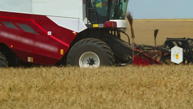 Closeup of millstone of combine harvester cutting wheat. Concept of autumn harvest of wheat and barley
