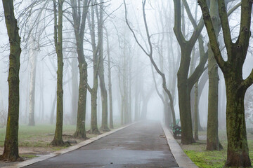 A beautiful foggy winter morning in Chisinau Moldova.