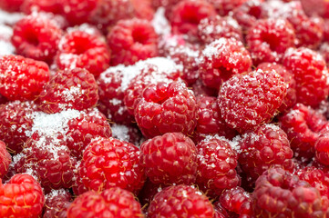 Fresh raspberry with sugar. Close up.