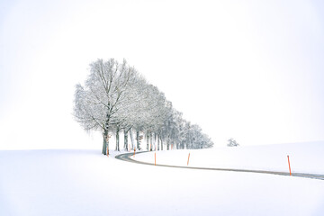 winter scenery with trees