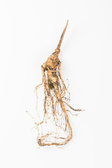 Chinese medicine ginseng on white background