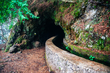 Nacientes de Marcos y Cordero trail, La Palma, Santa Cruz de Tenerife, Canary Islands, Spain. © Aníbal Martel © Aníbal Martel