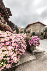 Balconada con flores
