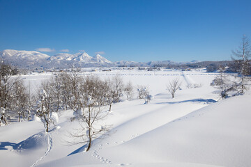 Fototapeta na wymiar 冬の里と里山の雪景色