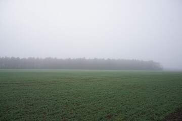 Foggy day in Suffolk