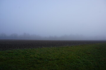 Fototapeta na wymiar Foggy day in Suffolk