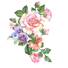 bouquet of roses.watercolor  flowers