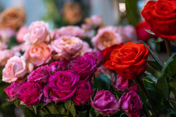 Many different roses