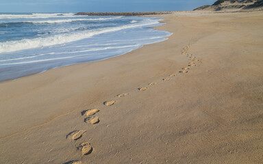 Beautiful beach in Figueira da Foz