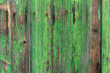 abstract horizontal background of old wooden door with peeling green paint