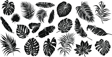palm leaves set pattern black and white vector illustration 