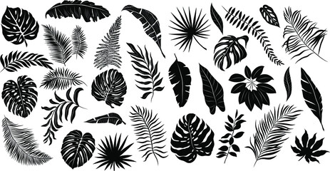 palm leaves set pattern black and white vector illustration 