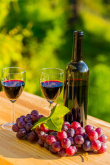 Fototapeta na wymiar wine bottle and grapes