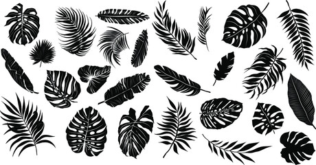 palm leaves set pattern black and white vector illustration 