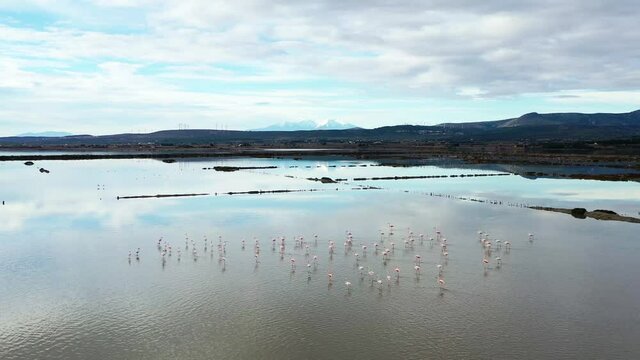 Survol des salins et des flamands roses dans le midi