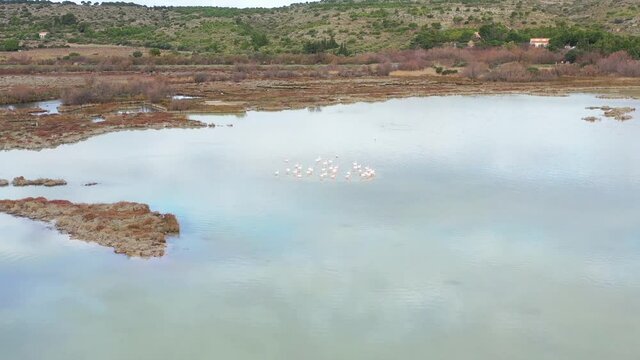 Survol des salins et des flamands roses dans le midi