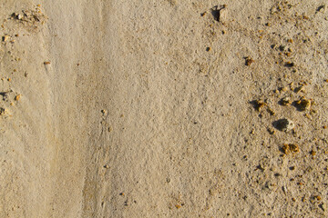 Extreme macro close up of surface Rock pattern. Stone texture and background. Rock Abstract Background