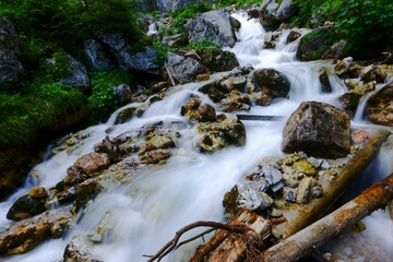 Fototapeta na wymiar gorgeous mountain creek with many rocks in the water