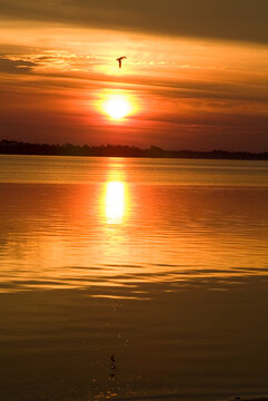 Sunset at Panacea, Florida, USA.