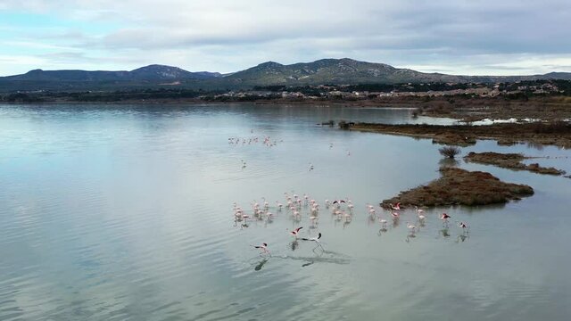 Survol des salins et des flamands roses dans le midi