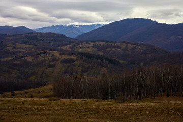 Mountain landscape with the Carpathian Mountains. Romania Country.