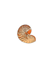 illustration of snail