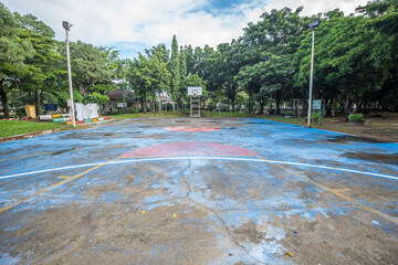 view of old basketball court in the garden