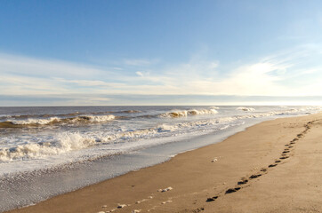 beach in the morning