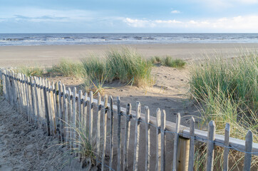 Obraz premium fence on the beach