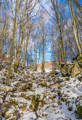 Monti Sabini (Rieti, Italy) - The snow capped mountains in the province of Rieti, Sabina area, near Monte Terminillo and the Tiber river. Here Pizzuto Tancia mount.
